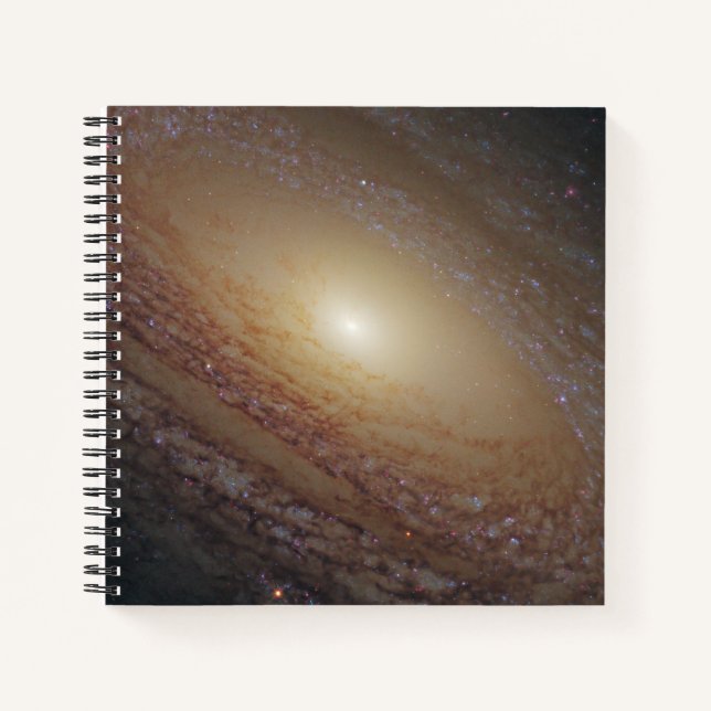 Spiral Galaxy Ngc 2841 Notizbuch (Vorderseite)