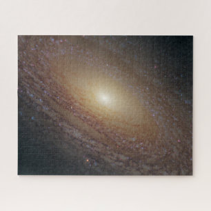 Spiral Galaxy Ngc 2841 Puzzle