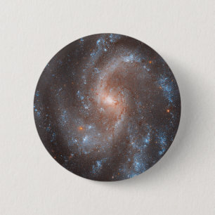 Spiral Galaxy Ngc 5584 Button