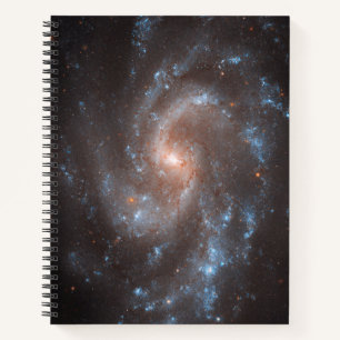 Spiral Galaxy Ngc 5584 Notizbuch