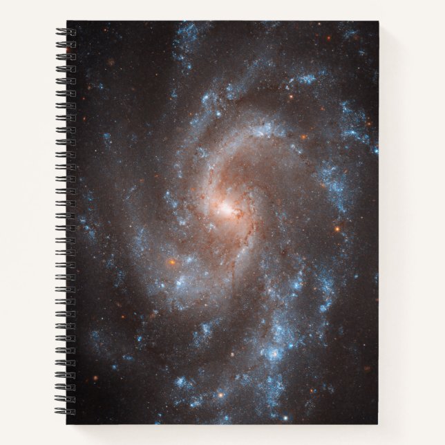 Spiral Galaxy Ngc 5584 Notizbuch (Vorderseite)