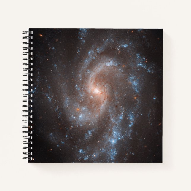 Spiral Galaxy Ngc 5584 Notizbuch (Vorderseite)