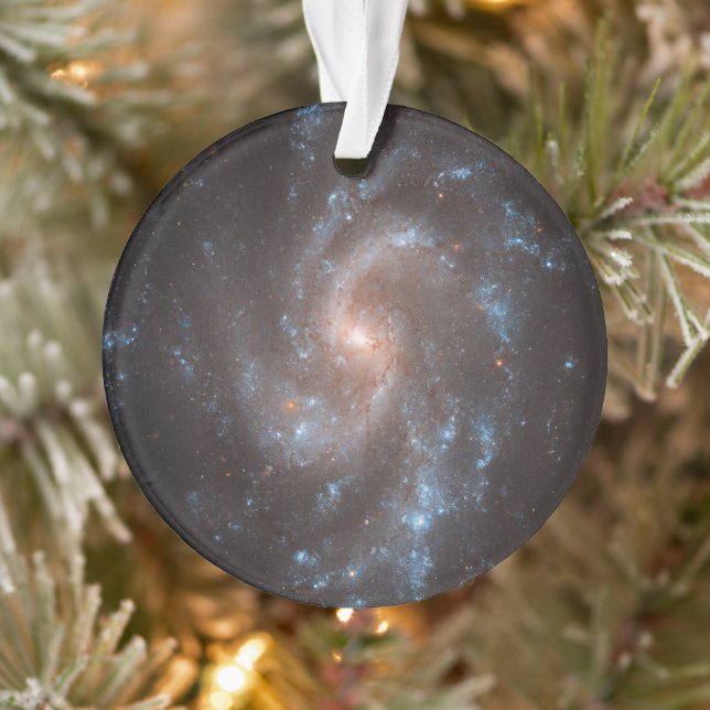 Spiral Galaxy Ngc 5584 Ornament (Baum)