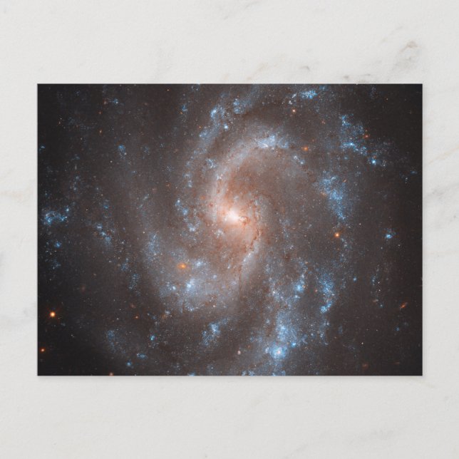 Spiral Galaxy Ngc 5584 Postkarte (Vorderseite)