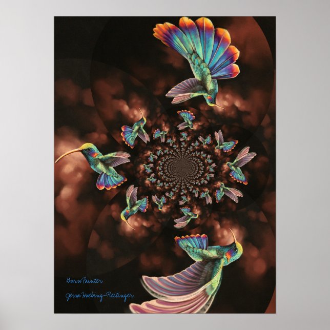 Spiral Hummingbird Poster (Vorne)