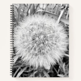 Spiral-Notebook - 8,5" x 11" Notizbuch