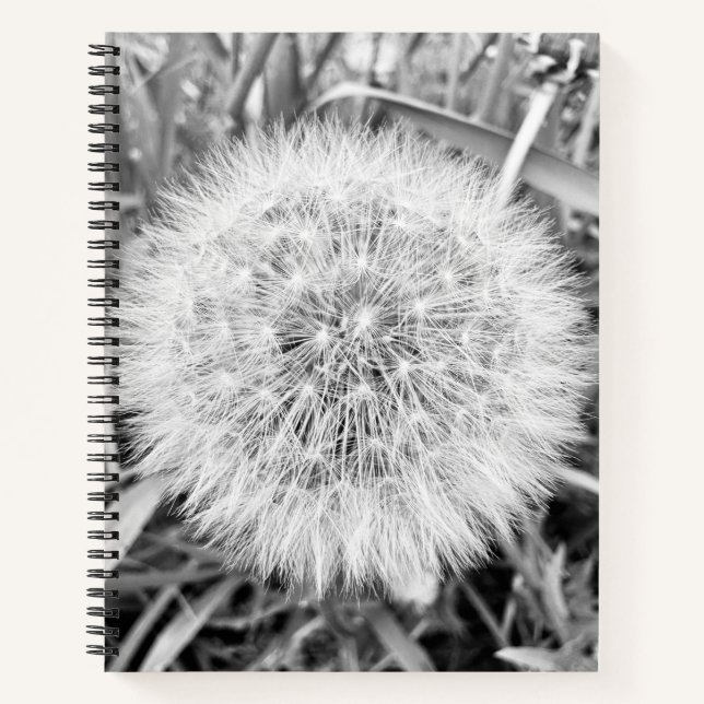 Spiral-Notebook - 8,5" x 11" Notizbuch (Vorderseite)