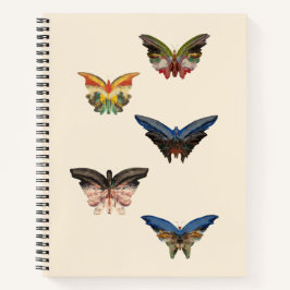 Spiral-Notebook, Albert Bierstadts Schmetterlinge Notizbuch