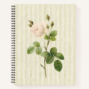 Spiral Notebook Beige Rose Floral Notizbuch