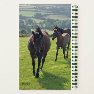 Spiral Notebook Farrier Notizbuch