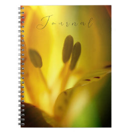 Spiral Notebook Journal Notizblock