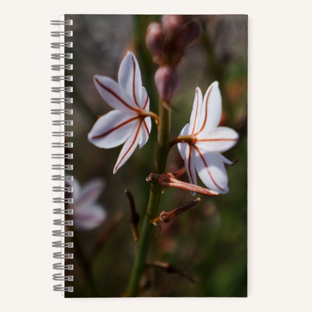 Spiral Notebook mit zwei Blume Notizbuch (Vorderseite)