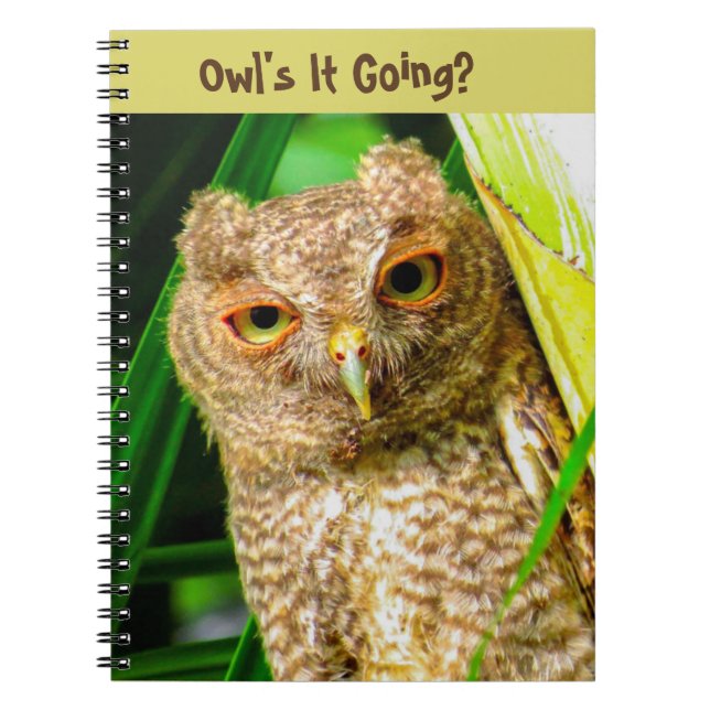 Spiral Notebook Owl ist's Notizblock (Vorderseite)