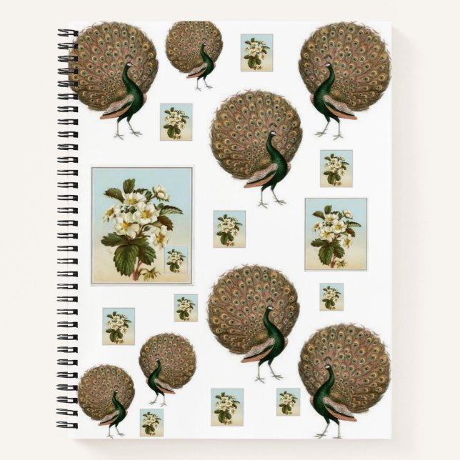 Spiral Notebook Peacock Notizbuch (Vorderseite)