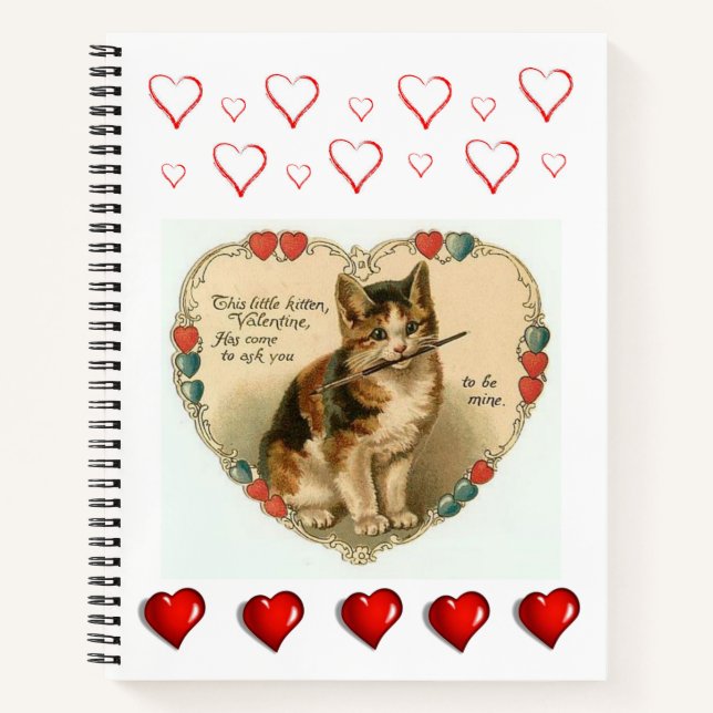Spiral Notebook Valentine's Day Notizbuch (Vorderseite)
