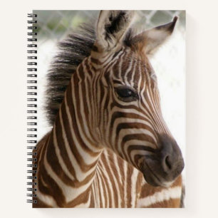 Spiral Notebook Zebra Notizbuch
