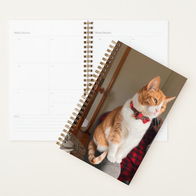 Spiral Planner Cozy Orange Tabby Cat  Planer (Anzeige)