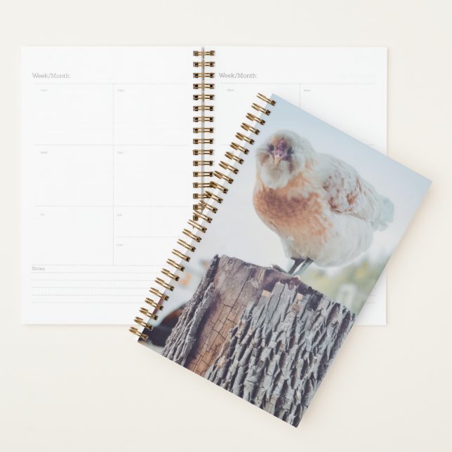 Spiral Planner - Its a Stumped Day Planer (Anzeige)