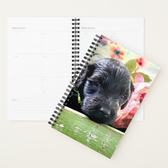 Spiral Planner Sweet Portuguese Water Dog Planer (Anzeige)