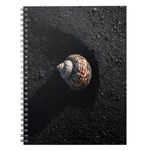 Spiral Seashell Black Sand Notebook Notizblock