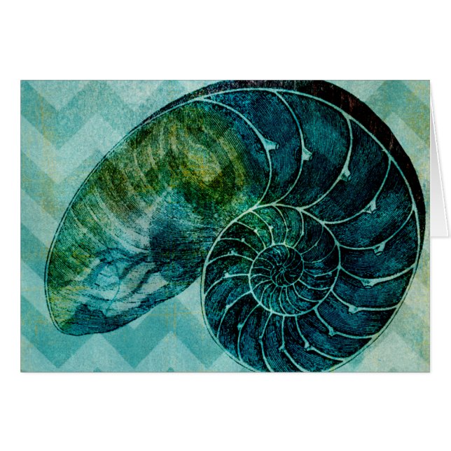 Spiral Turquoise Conch Muschel (Vorderseite (Horizontal))