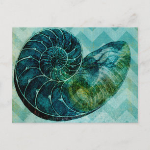 Spiral Turquoise Conch Shell Postkarte