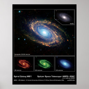 Spiralarm M81 - Spitzer Weltraumteleskop Poster