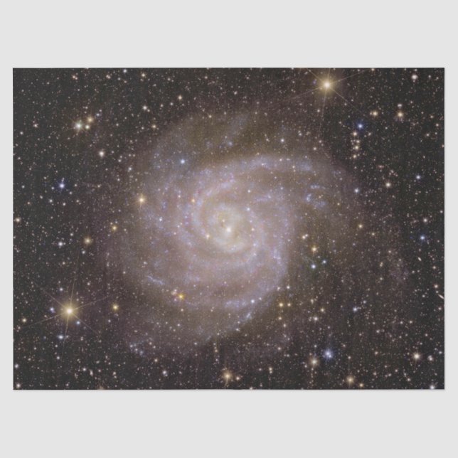 Spiralgalaxie IC 342 Seidenpapier (Vorderseite)