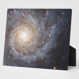Spiralgalaxie M74 10x8 Fotoplatte