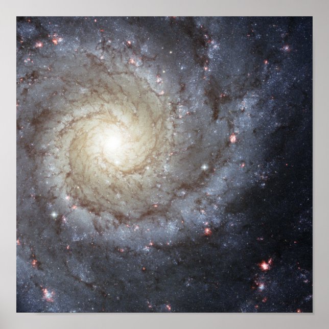 Spiralgalaxie M74 Poster (Vorne)