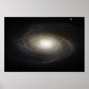 Spiralgalaxie M81 Poster