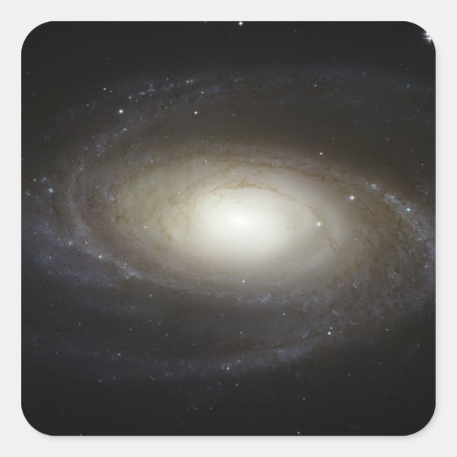 Spiralgalaxie M81 Quadratischer Aufkleber (Vorderseite)