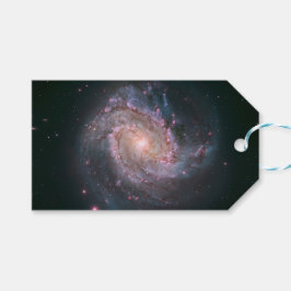 Spiralgalaxie M83 (NASA) Geschenkanhänger