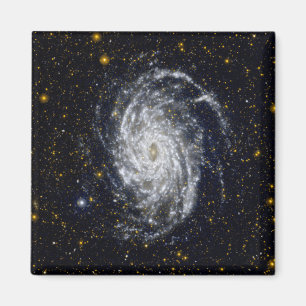 Spiralgalaxie Magnet
