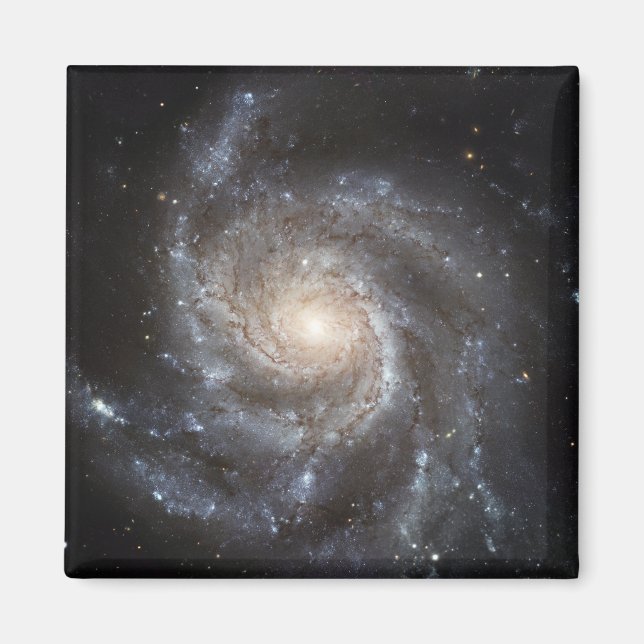 Spiralgalaxie Messier 101 Magnet (Vorne)
