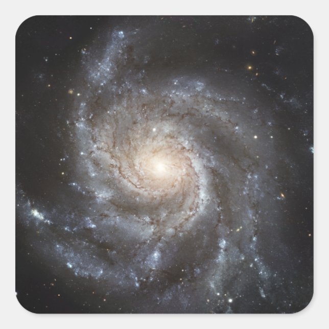 Spiralgalaxie Messier 101 Quadratischer Aufkleber (Vorderseite)