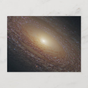 Spiralgalaxie NGC 2841 Postkarte