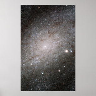 Spiralgalaxie NGC 300. Poster