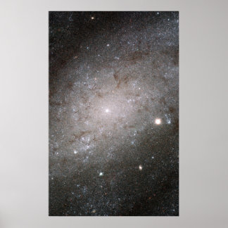 Spiralgalaxie NGC 300. Poster