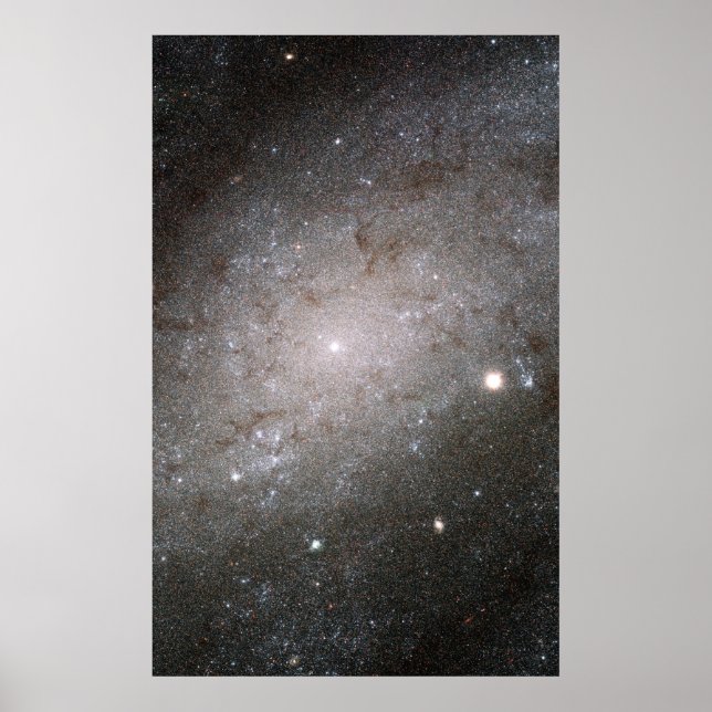 Spiralgalaxie NGC 300. Poster (Vorne)