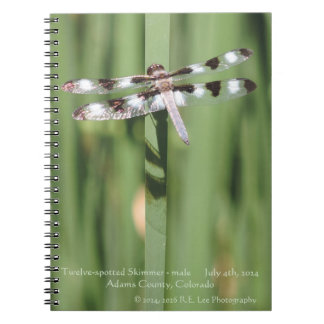 Spiralgebundenes Notizbuch mit Libellen-Fotografie Notizblock