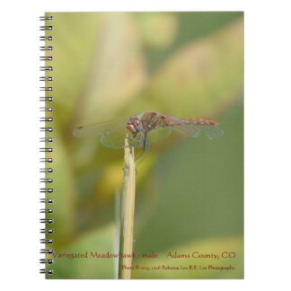 Spiralgebundenes Notizbuch mit Libellenfoto Notizblock