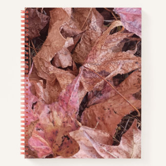 Spiraljournal des Herbstes Notizbuch