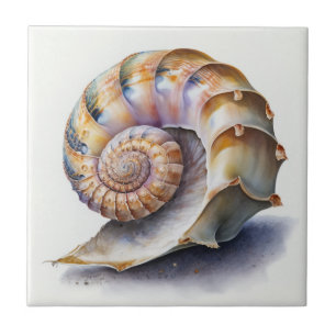 Spiralmuschel in Pastell-Wasserfarbe Fliese
