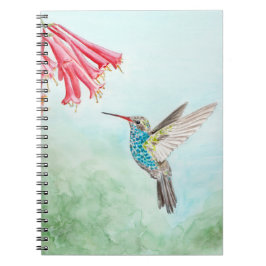 Spiralnotebook Hummingbird Notizblock