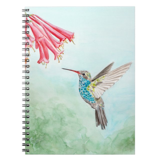 Spiralnotebook Hummingbird Notizblock (Vorderseite)