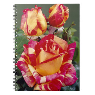 SpiralNotebook in Gelb und Rosa Rosen Notizblock