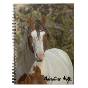 SpiralNotebook mit Romeo Notizblock