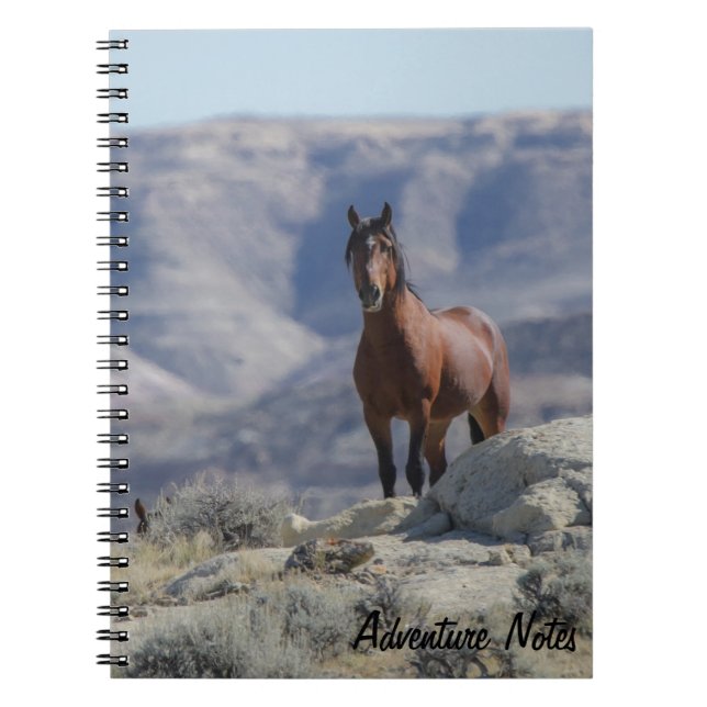SpiralNotebook mit Wild Stallion Notizblock (Vorderseite)