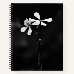 SpiralNotebook Notizbuch